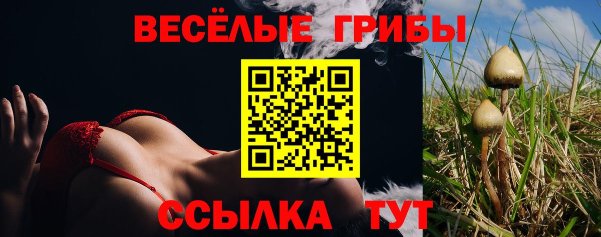 Псилоцибиновые грибы Magic Shrooms Камышлов