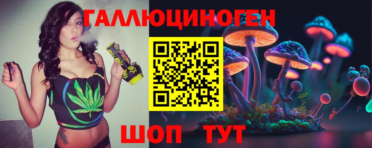 Галлюциногенные грибы мицелий  Псилоцибиновые грибы мухоморы  Вход с VPN  Камышлов 